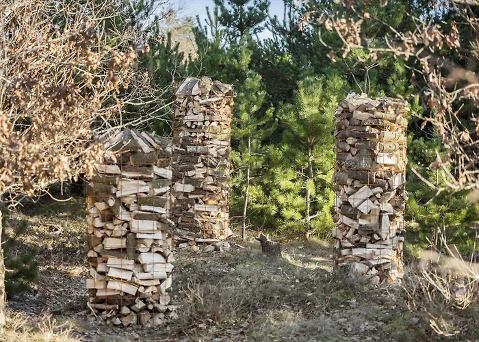 Bl1458-blokhus-lyngmarken-6 * ブロックフス